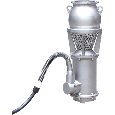 8 Inch Water Pump Portable Stainless Steel Submersible Water Pump